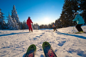Hotel Pension Hochficht, Klaffer Am Hochficht, Österreich
